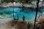 Cenotes Private Day Tour