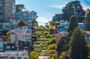 Big Bus tour of San Francisco