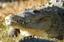 Gatorland general admission tickets