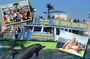 Dolphin Exploration Tour