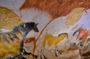 Daily shared tour of the Paleolithic art of Dordogne