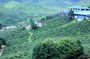 Private Cameron Highlands Nature tour
