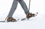 Private Tromsø snowshoeing tour with a TeslaX car ride