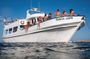 Chill & Relax Cruise Ticket Only