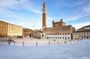 Guided walking tour of Siena