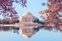 Tidal Basin: Stroll around the cherry blossoms and monuments on an audio tour