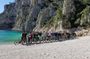 Mountain bike rental for Calanques National Park and Marseille