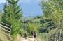 Piatra Craiului National Park private hiking tour from Brasov
