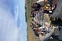 Sable de Camargue full-day minibus tour with lunch and tastings