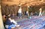 Super 4x4 safari with sand buggies and camel ride in Marsa Alam