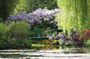 Monet and Van Gogh Private Day Trip from Paris