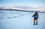 Guided Husky snowshoe hike