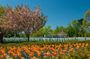 Arlington National Cemetery tour