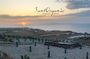 Santorini private organic farm tour with olive oil tasting