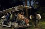 Singapore Night Safari park entrance ticket including tram ride