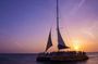 Palm Pleasure catamaran sunset tour