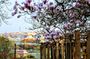 Self-guided discovery walk in Prague with breathtaking views and parks