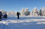 Long (70km) snowmobile safari in Lapland