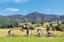 Tuscany by bike and saffron tasting