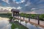 Mangrove 1-Hour Private Kayaking in Al Thakira Reserve