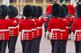 London Changing of the Guard walking tour