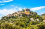 Private Eze and Monaco tour from Nice or Villefranche ports