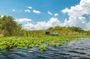 Everglades admission ticket with airboat ride and wildlife show