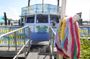 Clearwater Beach day trip with dolphin watching cruise
