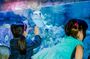 Tickets to SEA LIFE Orlando Aquarium
