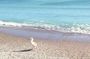 Black Sea private tour from Bucharest