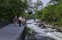 Full-day Cape Tribulation, Daintree and Mossman Gorge with lunch