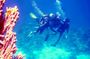 Diving experiences and packages from Dahab