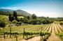 Sonoma and Napa Valley wine tour from San Francisco