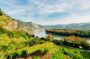 Wachau Valley day trip with river cruise on the Danube