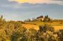 Chianti wine tour with sampling of wines, oil and balsamic vinegar