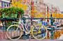 Amsterdam private bike tour
