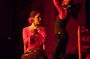 Flamenco Show entrance tickets at El Palacio Andaluz