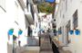 Guided walking tour of Mijas