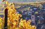 Alsace half-day shared wine tour from Colmar