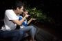 Batu Caves, Bukit Melawati and the fireflies private tour with dinner