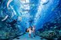 Dubai Unlimited Attractions Pass