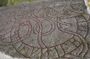 Uppsala walking tour to the runestones