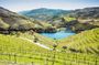 Douro Valley small-group tour with 2 wineries, lunch and river cruise