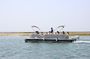 Ria Formosa birdwatching boat tour