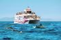 Costasol Cruceros dolphin-watching boat trip