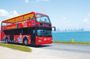 Hop-on hop-off bus tour of Panama City