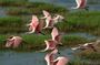 Everglades National Park full-day adventure tour with dry hike