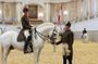 Spanish Riding School Vienna Training
