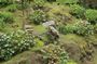 Full-day tour to the Nordeste rout in an offroad 4x4