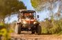Buggy tour experience in Algarve